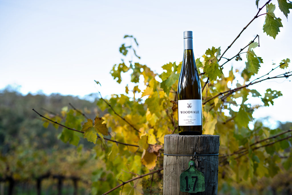 Discovering great Riesling in the Clare Valley